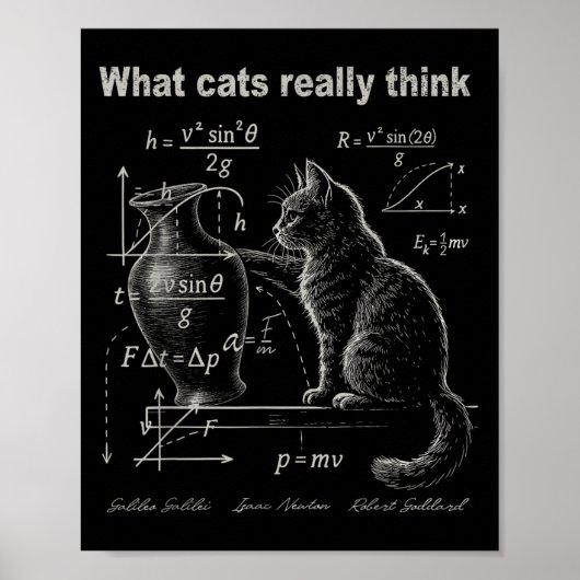 Funny Cat Physical Spaß Design was Katzen wirklich Poster (Vorne)