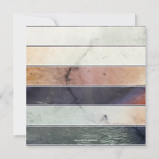 Funny Cat Pirate Birthday Einladung (Rückseite)