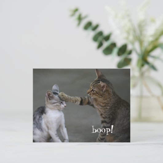Funny Cat Postcard Boop Postkarte (Stehend Vorderseite)