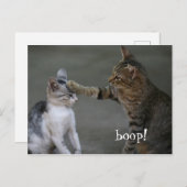Funny Cat Postcard Boop Postkarte (Vorne/Hinten)