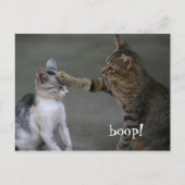 Funny Cat Postcard Boop Postkarte (Vorderseite)