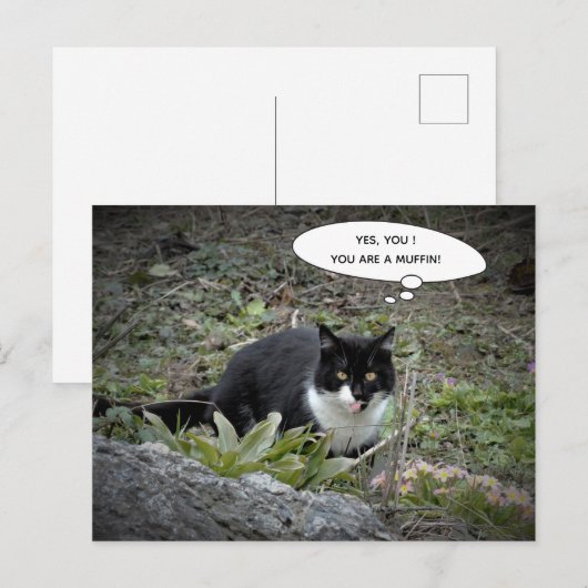 Funny Cat Postcard Postkarte (Vorne/Hinten)
