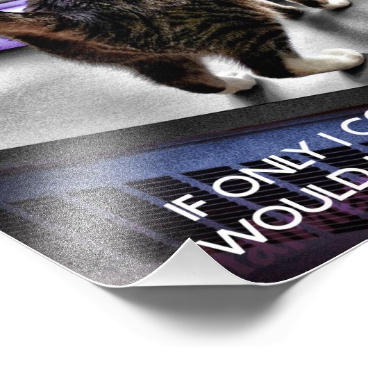 Funny Cat Poster (Ecke)