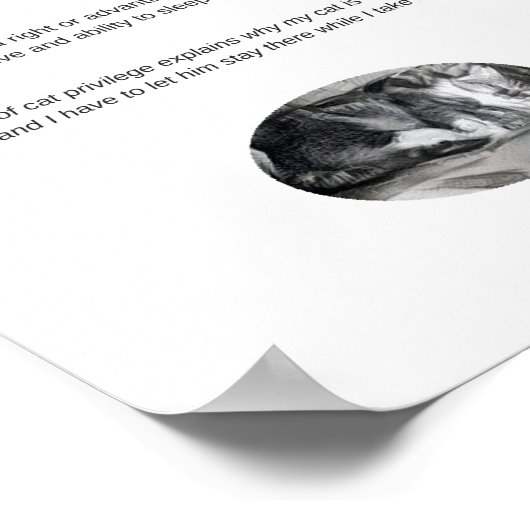 Funny Cat Privilege Slefie Plakatmatte Poster (Ecke)