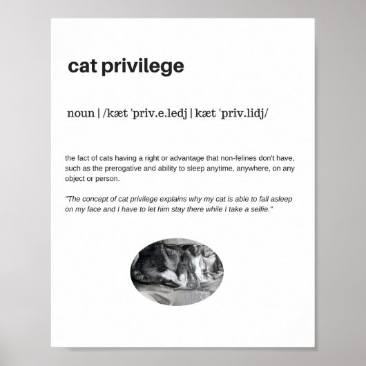 Funny Cat Privilege Slefie Plakatmatte Poster (Vorne)