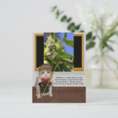 Funny Cat Professor Postkarte (Stehend Vorderseite)