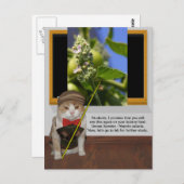 Funny Cat Professor Postkarte (Vorne/Hinten)