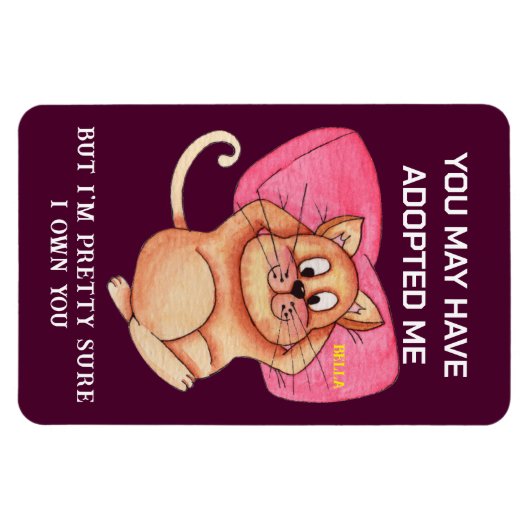 Funny Cat Pun Magnet - Kitchen Fridge Meme Gift (Horizontal)