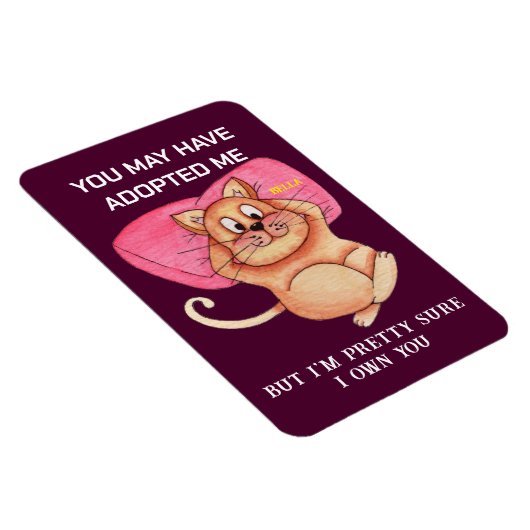 Funny Cat Pun Magnet - Kitchen Fridge Meme Gift (Rechte Seite)