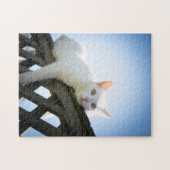 Funny Cat Puzzle (Horizontal)