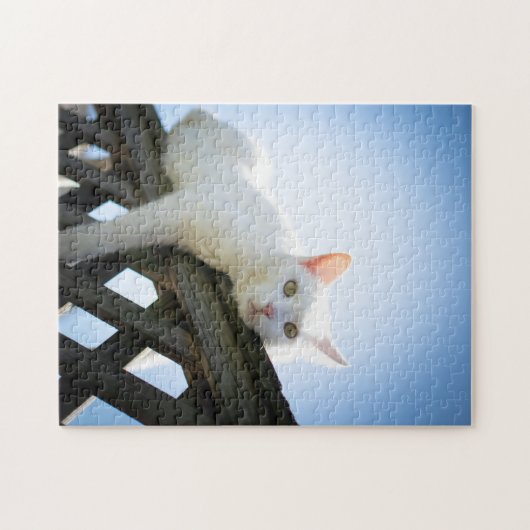 Funny Cat Puzzle (Horizontal)