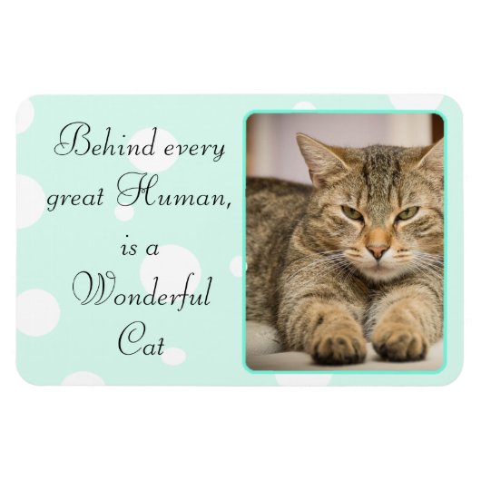 Funny Cat Quotes Aquamarines Personalisiertes Magn Magnet (Horizontal)