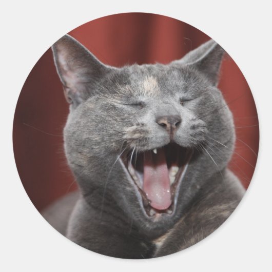 Funny Cat Runder Aufkleber (Vorderseite)