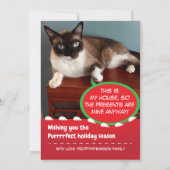 Funny Cat Santa Claws Grußkarte Feiertagskarte (Rückseite)