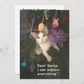 Funny Cat Santa I erklärt alles Weihnachten (Vorne/Hinten)