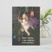 Funny Cat Santa I erklärt alles Weihnachten (Stehend Vorderseite)