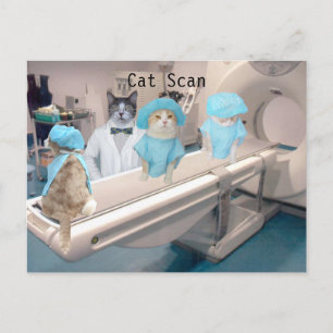 Funny Cat Scan Image Postkarte