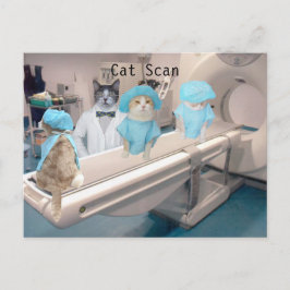 Funny Cat Scan Image Postkarte