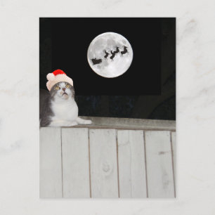 Funny Cat Sees Santa Feiertagspostkarte