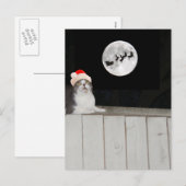 Funny Cat Sees Santa Feiertagspostkarte (Vorne/Hinten)