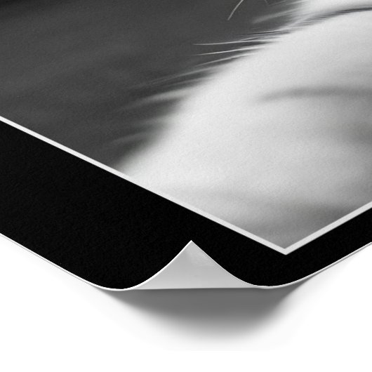 Funny Cat Selfie mit UFO Alien Drones Poster (Ecke)