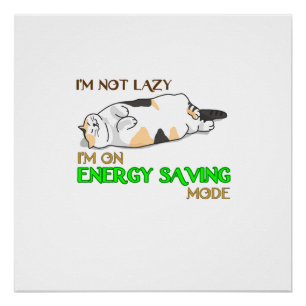 Funny Cat Shirt Cat Lover Geschenk  Geschenk für K Poster