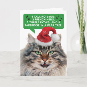Funny Cat singt die 12 Tage Weihnachten