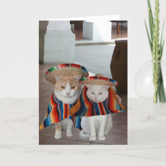 Funny Cat Spanisch Geburtstag für Ehemann oder Ehe Karte