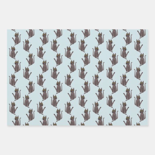 Funny Cat Spaß Geschenkpapier Set (Vorderseite)