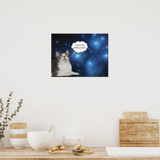 Funny Cat Star Gazer Poster (Küche)