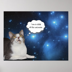 Funny Cat Star Gazer Poster