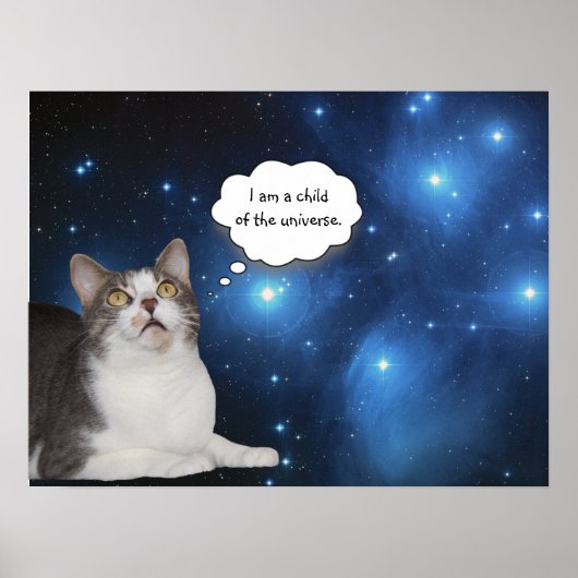 Funny Cat Star Gazer Poster (Vorne)