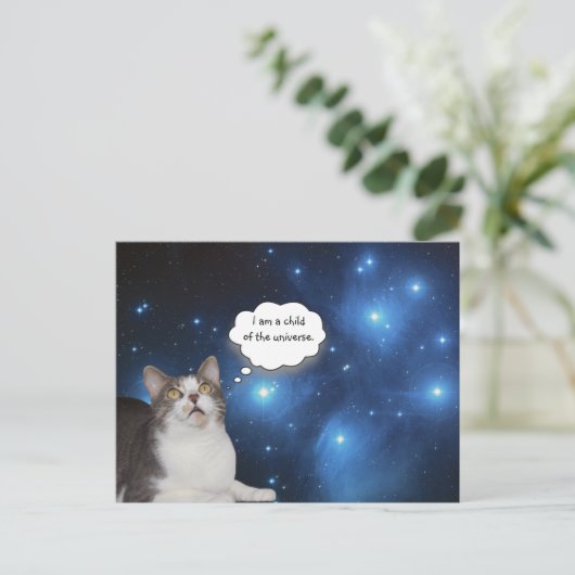 Funny Cat Star Gazer Postkarte (Stehend Vorderseite)