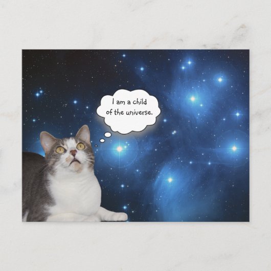 Funny Cat Star Gazer Postkarte (Vorderseite)