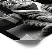 Funny Cat Taking A Selfie Christmas Xmas Pajamas H Poster (Ecke)