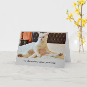 Funny Cat Telecomming ohne Pants Karte