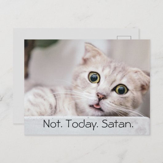 Funny Cat Text Postkarte (Vorne/Hinten)