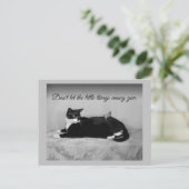 Funny Cat und Annoying Parakeet Postkarte (Stehend Vorderseite)