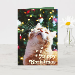 Funny Cat und Green Tree & Happy Weihnachten Einzi Karte