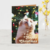 Funny Cat und Green Tree & Happy Weihnachten Einzi Karte (Gelbe Blume)