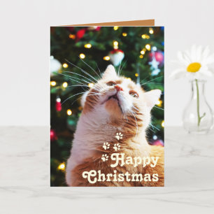 Funny Cat und Green Tree & Happy Weihnachten Einzi Karte