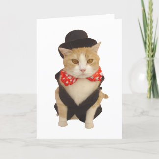 Funny Cat Valentine Feiertagskarte