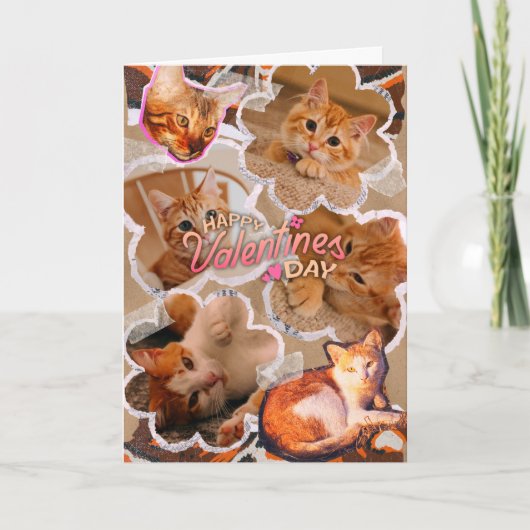 Funny Cat valentine's day cards Karte (Vorderseite)