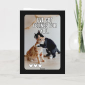 Funny Cat valentine's day cards Karte (Rückseite)