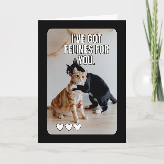 Funny Cat valentine's day cards Karte (Vorderseite)