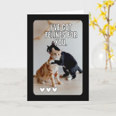 Funny Cat valentine's day cards Karte (Gelbe Blume)