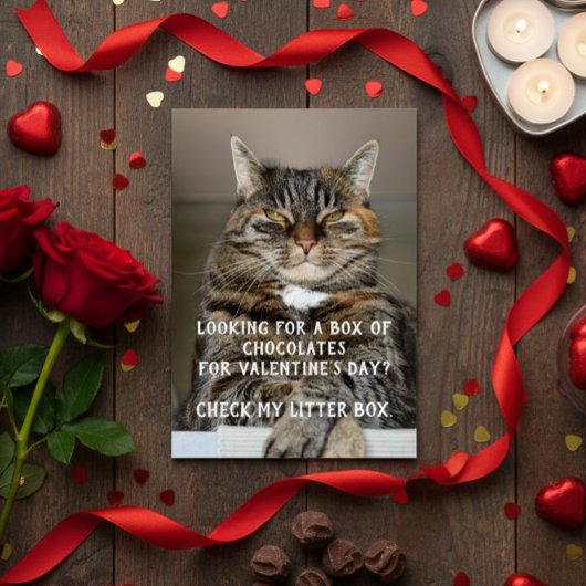 Funny Cat Valentine's Day Meme Anti-Valentin
