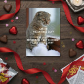 Funny Cat Valentine's Day Meme Single
