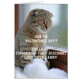 Funny Cat Valentine's Day Meme Single (Vorne)