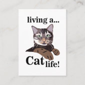 Funny Cat Veterinarian Pet Visitenkarte (Vorderseite)